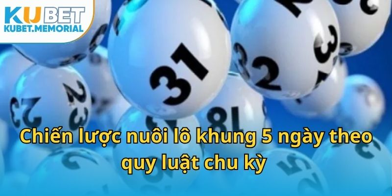 Chiến lược nuôi lô khung 5 ngày theo quy luật chu kỳ