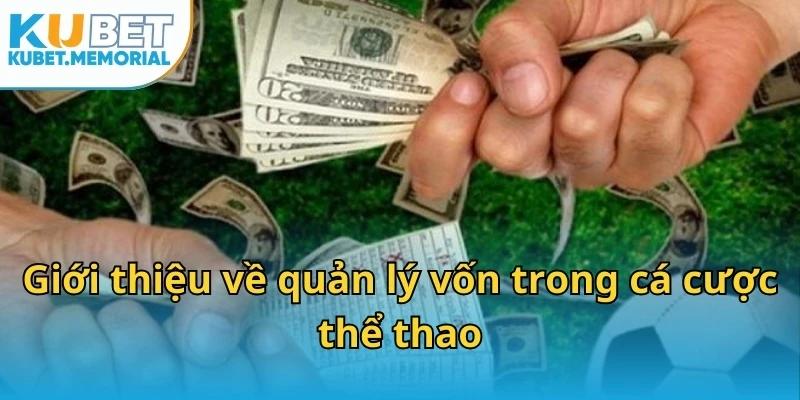 Giới thiệu về quản lý vốn trong cá cược thể thao