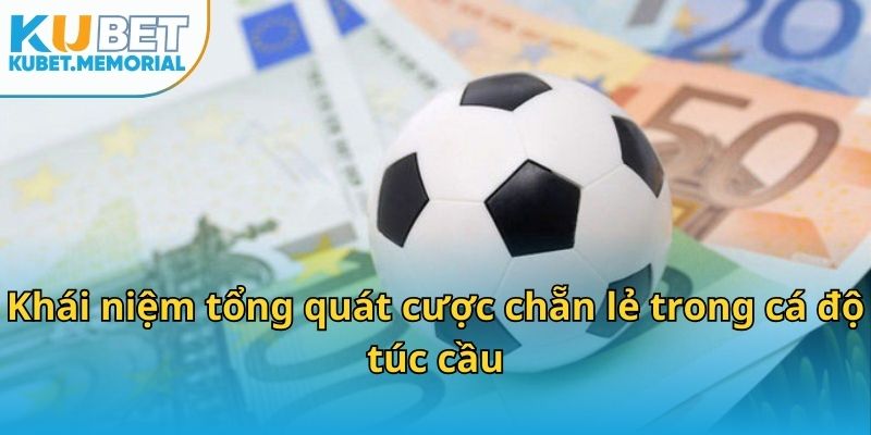 Khái niệm tổng quát cược chẵn lẻ trong cá độ túc cầu
