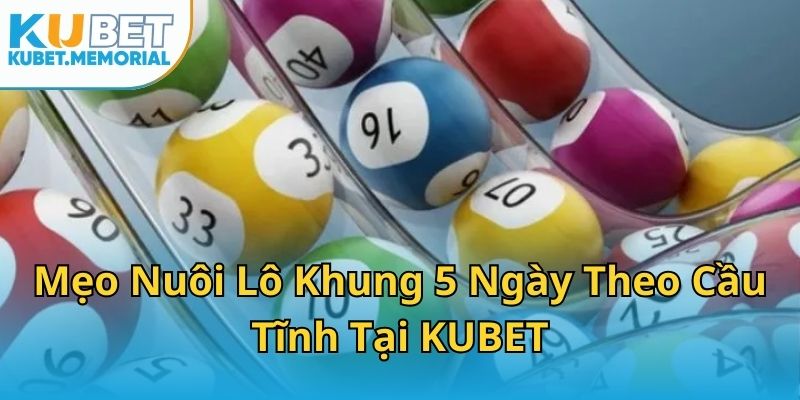 Mẹo Nuôi Lô Khung 5 Ngày Theo Cầu Tĩnh Tại KUBET