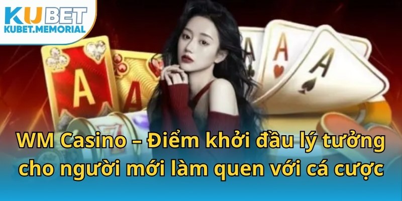WM Casino – Điểm khởi đầu lý tưởng cho người mới làm quen với cá cược